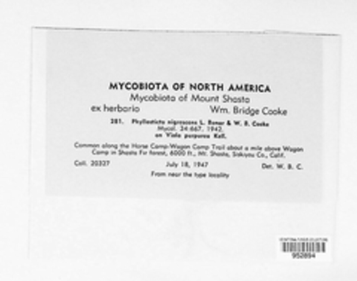 Asteromella nigrescens image